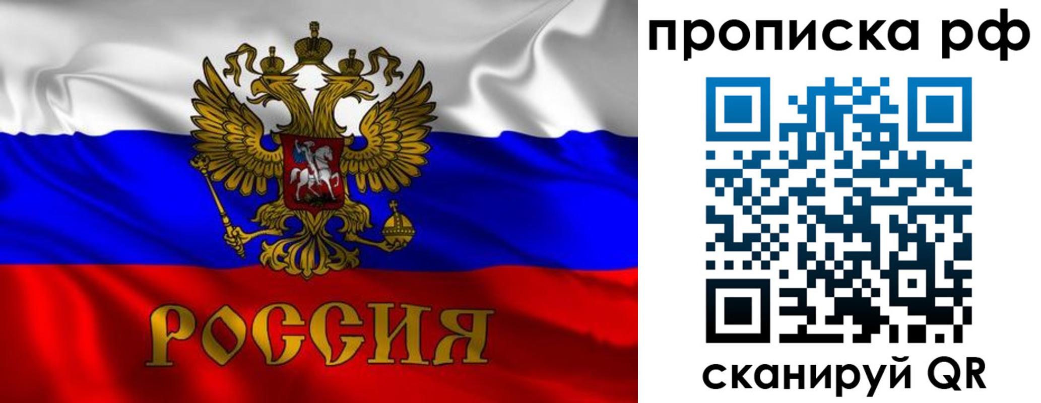 прописка 2025 в Владимире